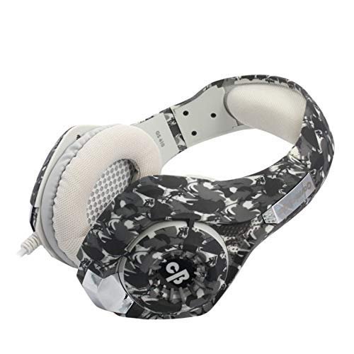 GS410 Headphones with Mic